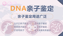 岳阳匿名DNA亲子鉴定哪里做，岳阳隐私亲子鉴定中心在哪里